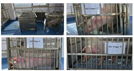 CA88(�й���)Ψһ�ٷ���վ